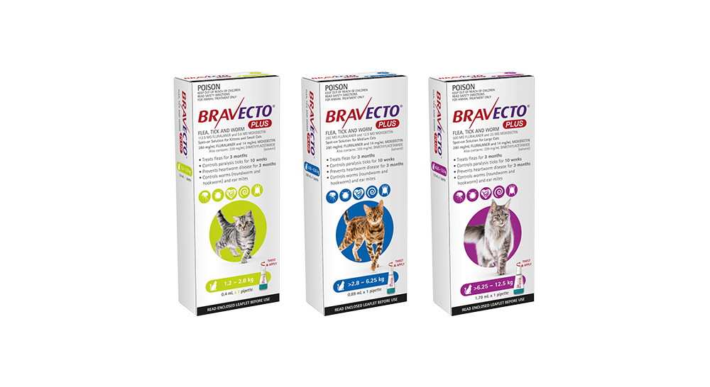 Bravecto Plus for Cats range